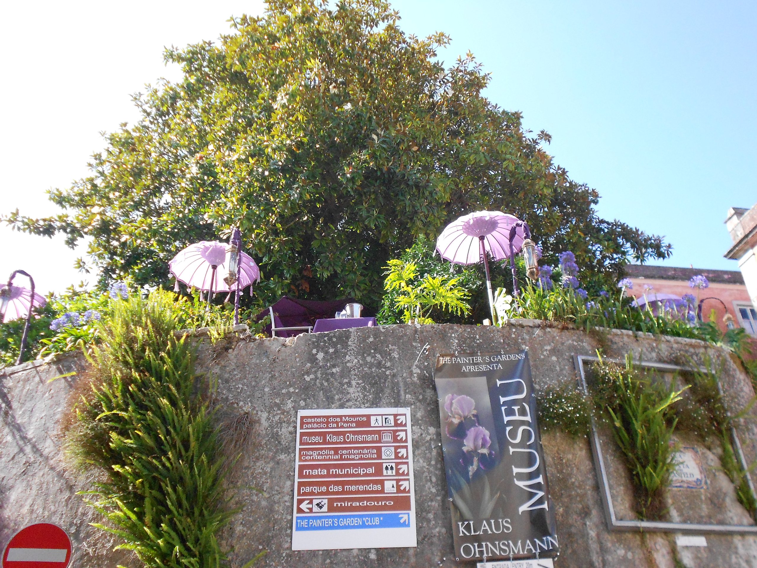 Viaje a Sintra Paisajes 039